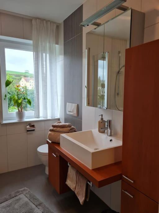 Ferienwohnung Panoramablick Бад-Мергентхайм Экстерьер фото